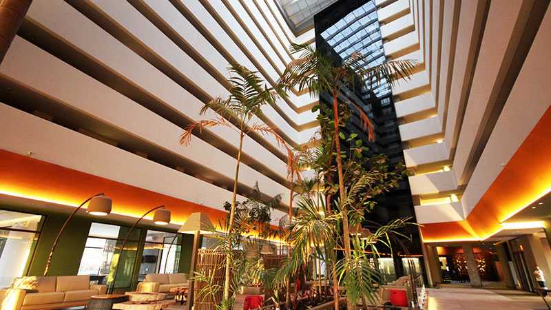 hot beach resort olimpia 8