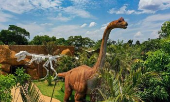 parque seco vale dos dinossauros17